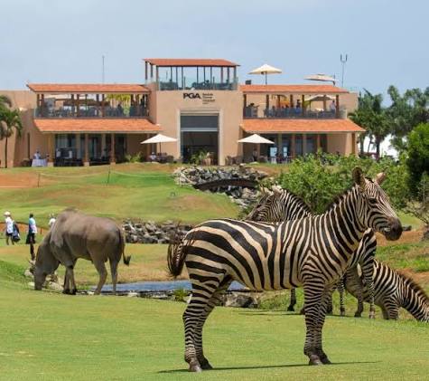 Nairobi Circuit & Coastal Swing
