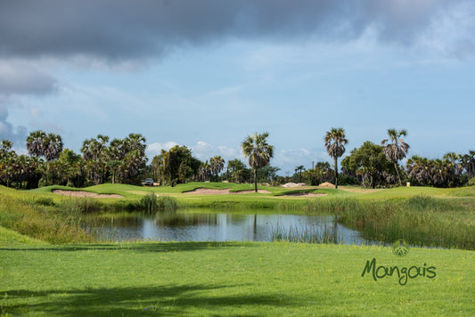 Angola Golf Circuit: Luanda City and Mangais Resort