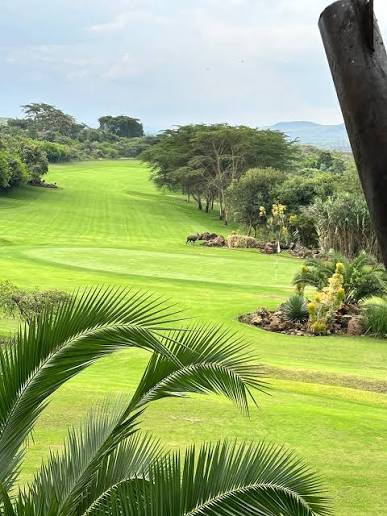 Nairobi Circuit & Rift Valley Swing
