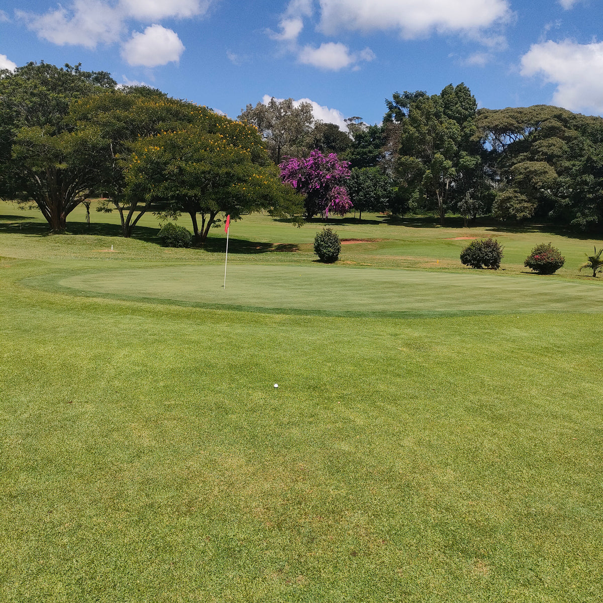 Classic Nairobi Circuit
