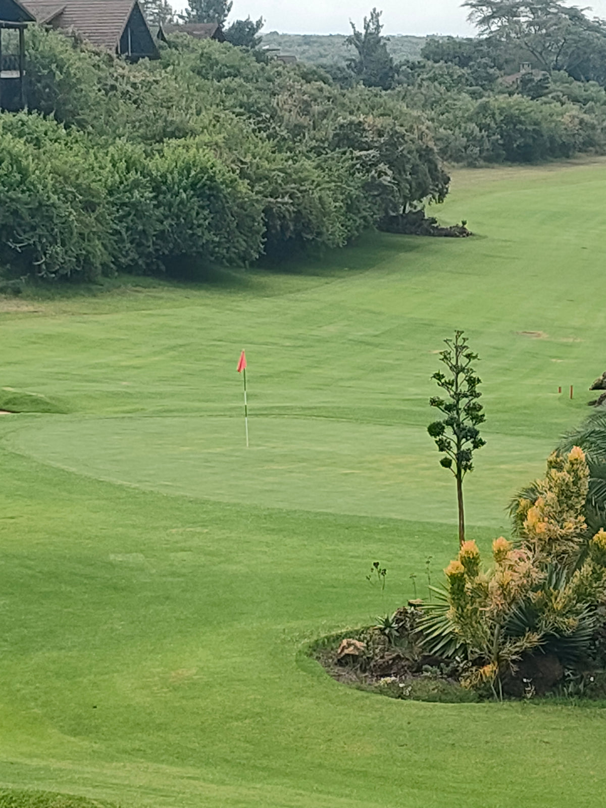 Nairobi Circuit & Rift Valley Swing