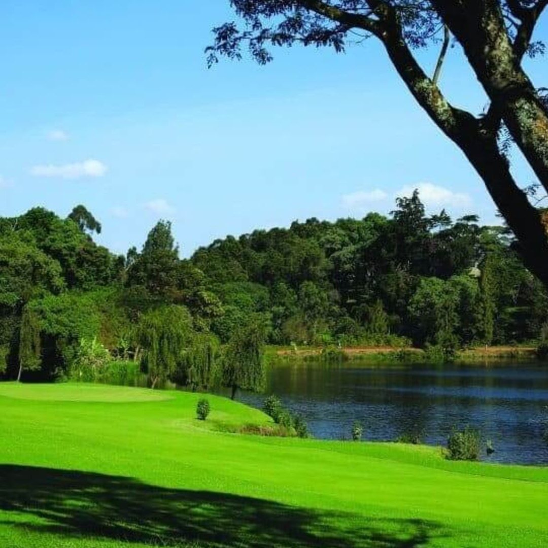 Nst Golf Tour