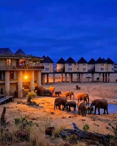 Sarova Salt Lick