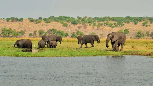 Botswana Golf Circuit